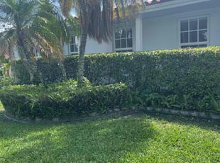 Bush Trimming by Kenneth Swayne for Brian W. in Miami, FL