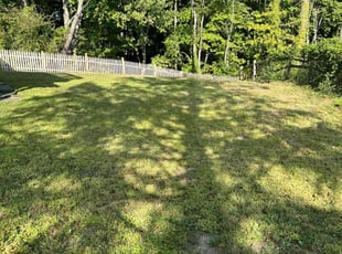 Angie C.'s Lawn Maintenance service result