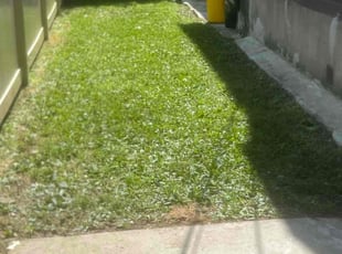 Amanda W.'s Lawn Mowing Service service result