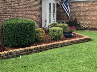 Bush Trimming by Miguel Arroyo for Maria j. in Houston, TX