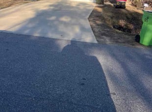 Bush Trimming by Sandra Gutierrez for TIm B. in Holly Springs, NC