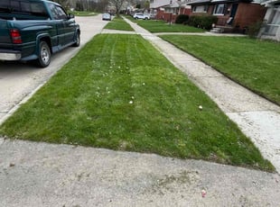 Linda W.'s Yard Cutting service result