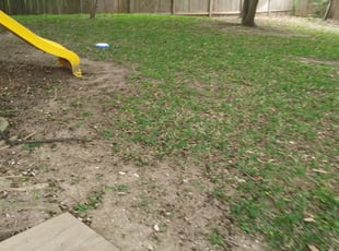 Leaf Removal by Noe Perez for Jeff L. in Schertz, TX