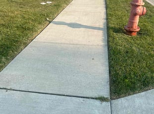 Darlene J.'s Yard Cutting service result