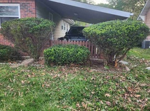 Bush Trimming by Aric Haskell for Charity H. in Crystal City, MO
