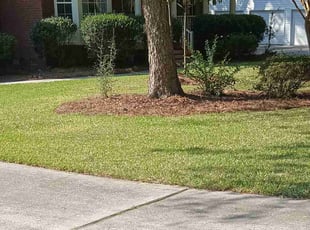 Crystal M.'s Lawn Service service result