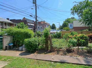Weeding by Titus Hayes for Deanda S. in Richmond, VA