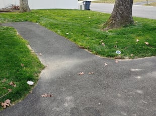 Leaf Removal by Chris Thomas for Daryl B. in Chesterfield, VA