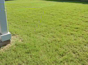 Kim N.'s Lawn Mowing service result