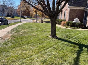 Leaf Removal by Harold Mabin Jr for Dean A. in Overland Park, KS