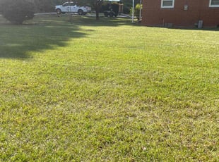 Dawn C.'s Lawn Mowing service result