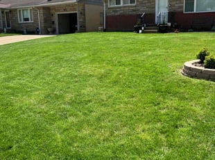 Maria G.'s Lawn Care service result