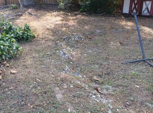Cleanups by James Stuckey for Lindsey T. in Orlando, FL
