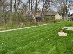 Patty K.'s Grass Cutting service result