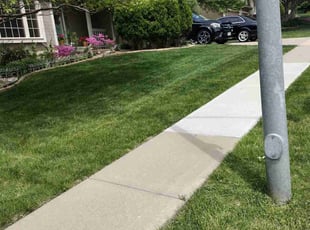 Elizabeth G.'s Lawn Service service result