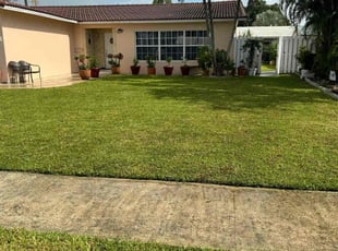 Jasna S.'s Lawn Service service result