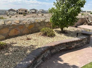 Bush Trimming by Michael Watters for Mark M. in El Paso, TX