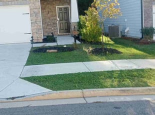 Joseph M.'s Grass Cutting service result