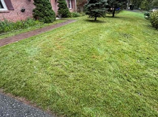 Stephen R.'s Grass Cutting service result