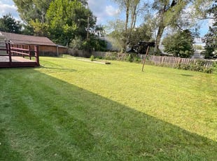 Randy G.'s Lawn Maintenance service result