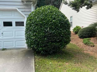 Bush Trimming by Nathan Otwell for Anneli S. in Alpharetta, GA