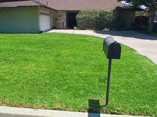 Manisha C.'s Lawn Service service result