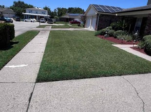 Mariah R.'s Lawn Care service result