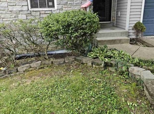 Bush Trimming by David Cole for Tabitha A. in Lexington, KY