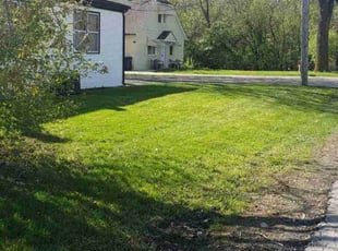 Linh T.'s Grass Cutting service result