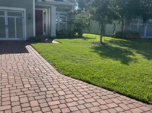 Sarah W.'s Lawn Mowing service result