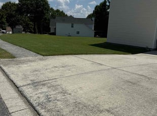 Cecily H.'s Lawn Maintenance service result