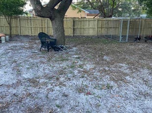 Leaf Removal by Ryan Jablonowski for Z C. in Orlando, FL