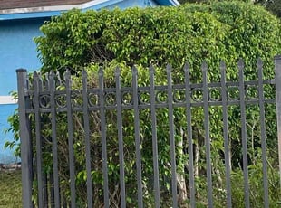 Bush Trimming by Odell Reid for Sonia R. in Miami, FL