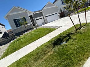 Vanessa L.'s Lawn Care service result