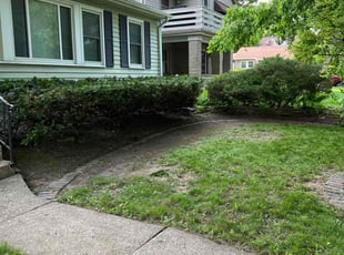 Bush Trimming by Roberto Rojas for Steve V. in Milwaukee, WI