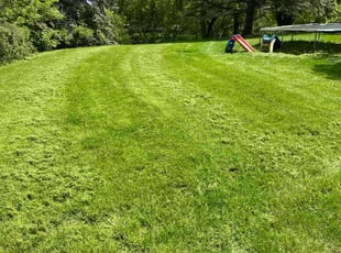 Paul R.'s Grass Cutting service result