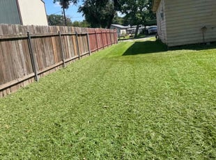 Dawn H.'s Lawn Service service result