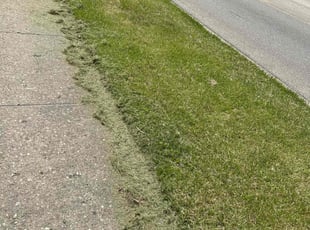 Patrick S.'s Lawn Mowing Service service result