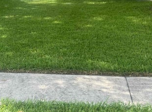 Talisha M.'s Lawn Mowing Service service result