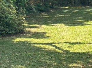 Stephen V.'s Lawn Service service result