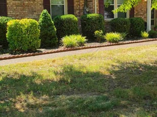 Bush Trimming by Timothy Peak for katelin G. in Hendersonville, TN