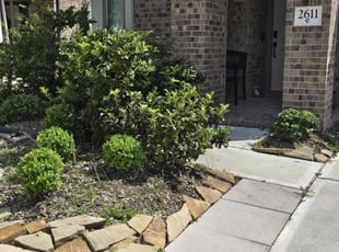 Bush Trimming by Roberto Pena for Alicia S. in Conroe, TX