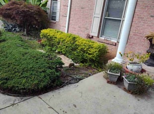 Bush Trimming by Arey Cooper for Alfred J. in Fayetteville, GA