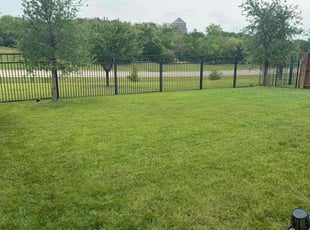 David R.'s Lawn Service service result