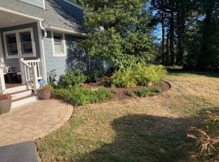 Bush Trimming by Darryl Blanchard for Diana C. in Rockville, MD