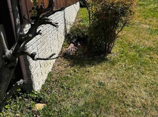 Leaf Removal by Carlos Portillo for marcia c. in Fort Washington, MD