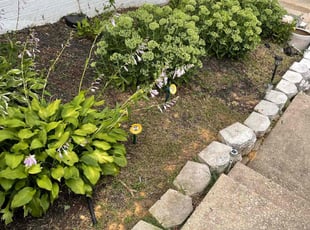 Weeding by Daronte Lewis for Brigitte H. in Clinton, MD