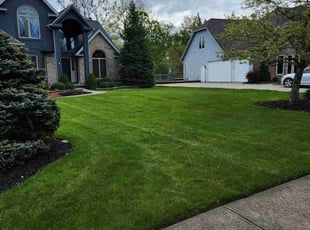 Albert R.'s Grass Cutting service result