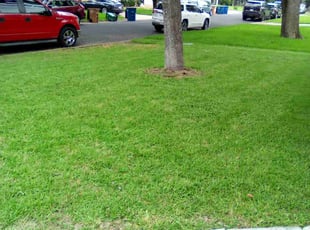 Dwayne J.'s Lawn Service service result
