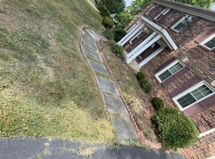 Leaf Removal by Eduardo Guzman for Stan S. in Sterling, VA